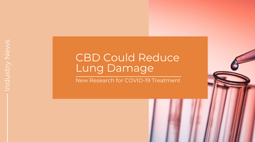 New Research Suggests CBD Could Reduce Lung Damage During COVID-19 Treatment