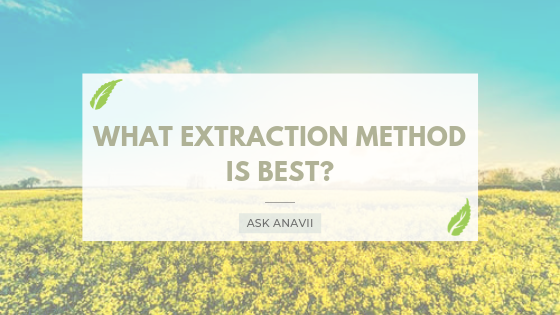 What CBD Extraction Method is Best?