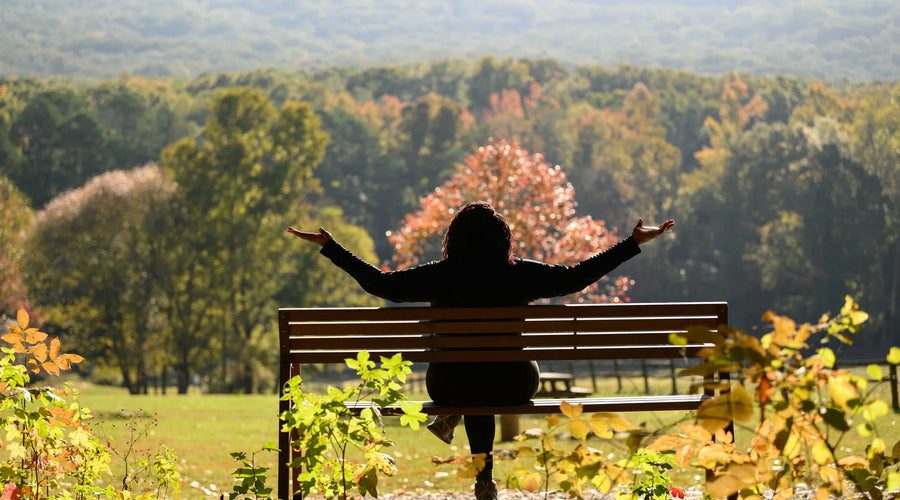 Nature Is the Original Wellness Technology: 5 Ways to Reconnect with Your Body This Fall
