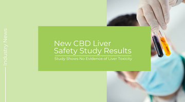 New CBD Liver Safety Study Shows No Evidence Of CBD Liver Toxicity