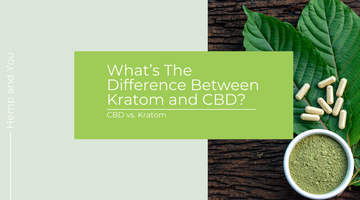 CBD vs. Kratom: What’s The Difference Between Kratom and CBD?