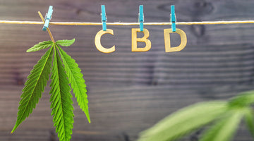 Making CBD Stronger, More Effective: An Introduction To Naturia Plus