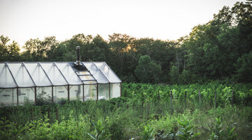 Hemp Freedom at Headland Homestead