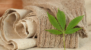 The Wonderful World of Hemp: Your Ultimate Guide to Hemp