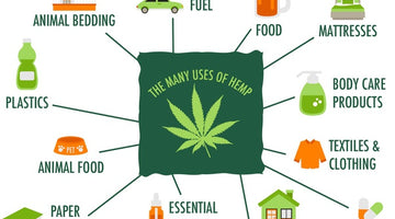 What Are The Uses of Hemp?