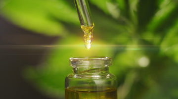 How CBD oil is made.