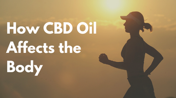 Why Popular Athletes Use CBD