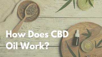 Your Guide to How CBD Oil Works