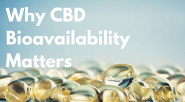 What is CBD Bioavailability and Why Does it Matter?
