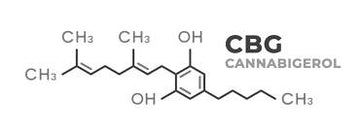 What is CBG Oil?