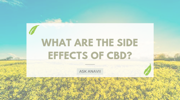 What are the Side Effects of CBD?