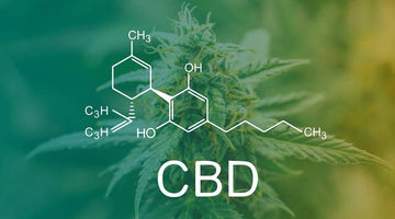Does CBD Interact with Other Medications?