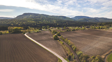 Hemp Week:  A Guide to Regenerative Agriculture