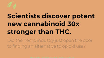 Researchers Discover Potent New Cannabinoid 30x Stronger Than THC