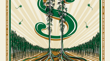 The Future of Hemp