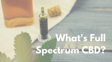 What is Full Spectrum CBD Oil, Anyways?