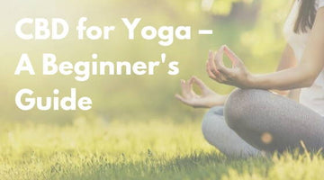 CBD for Yoga – A Beginner’s Guide