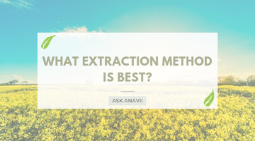 What CBD Extraction Method is Best?