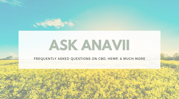 What Type of CBD Should I Use?