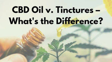 What is the Difference Between CBD Oil and CBD Tinctures?
