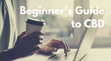 CBD Beginner’s Guide – How To Find The Best CBD Oil