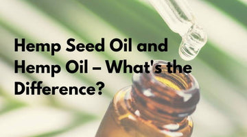 What Is The Difference Between Hemp Seed Oil and Hemp Oil?