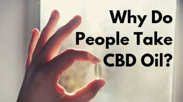 Why Do People Take CBD Oil?