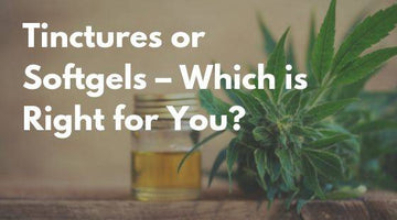CBD Oil Tinctures Or Softgels? – Which Is Best For You?