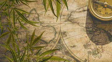 The History of Hemp