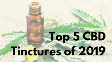 Top 5 CBD Tinctures in 2019