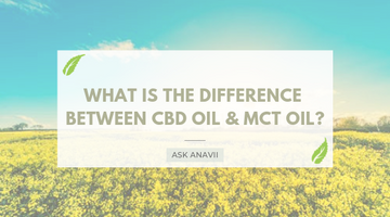 What is the Difference Between CBD Oil and MCT Oil?