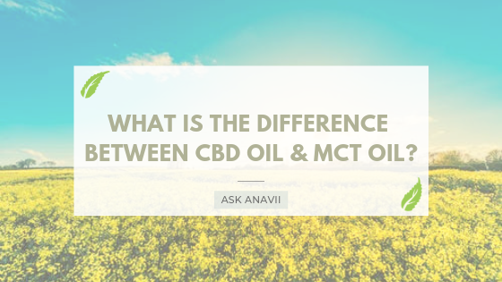 What is the Difference between Cbd Oil And Mct Oil