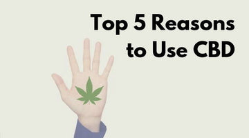 Top 5 Reasons to Use CBD Oil