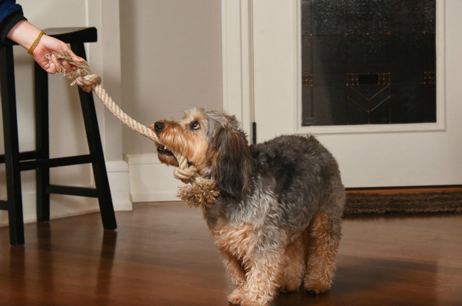 Dogs love the Hemptopia Dog Toy