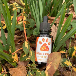 Nature's Hemp Oil full spectrum CBD for pets